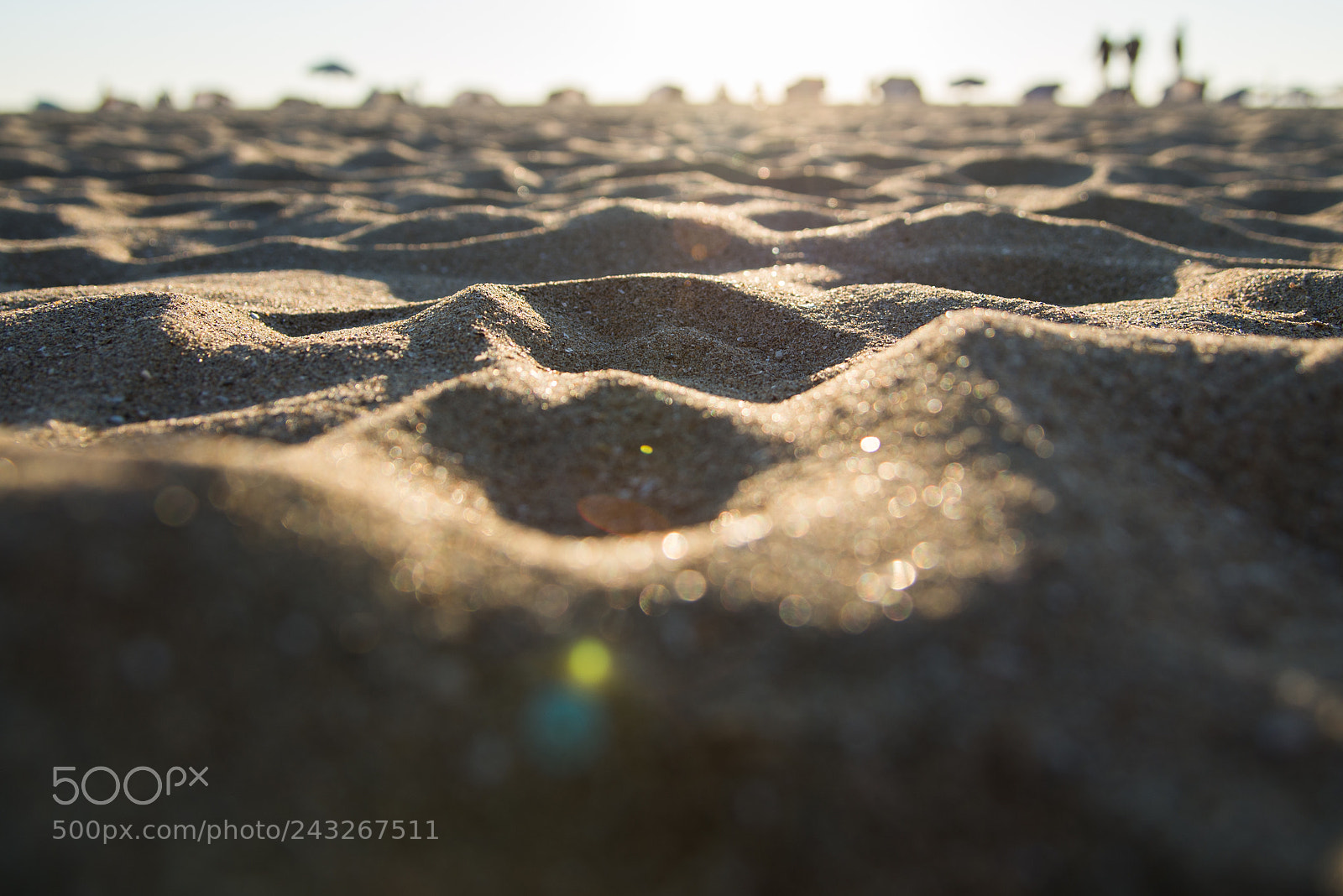 Nikon D610 sample photo. Perspective photography