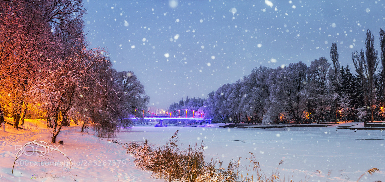 Canon EOS 60D sample photo. Morning snowfall photography