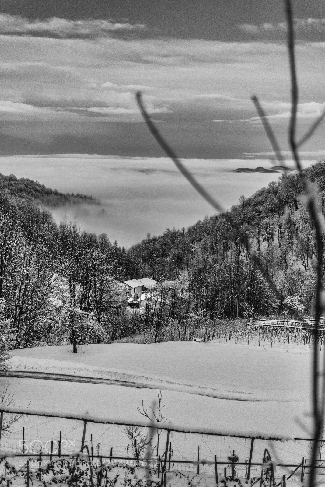 Nikon D800 sample photo. Paint  photography