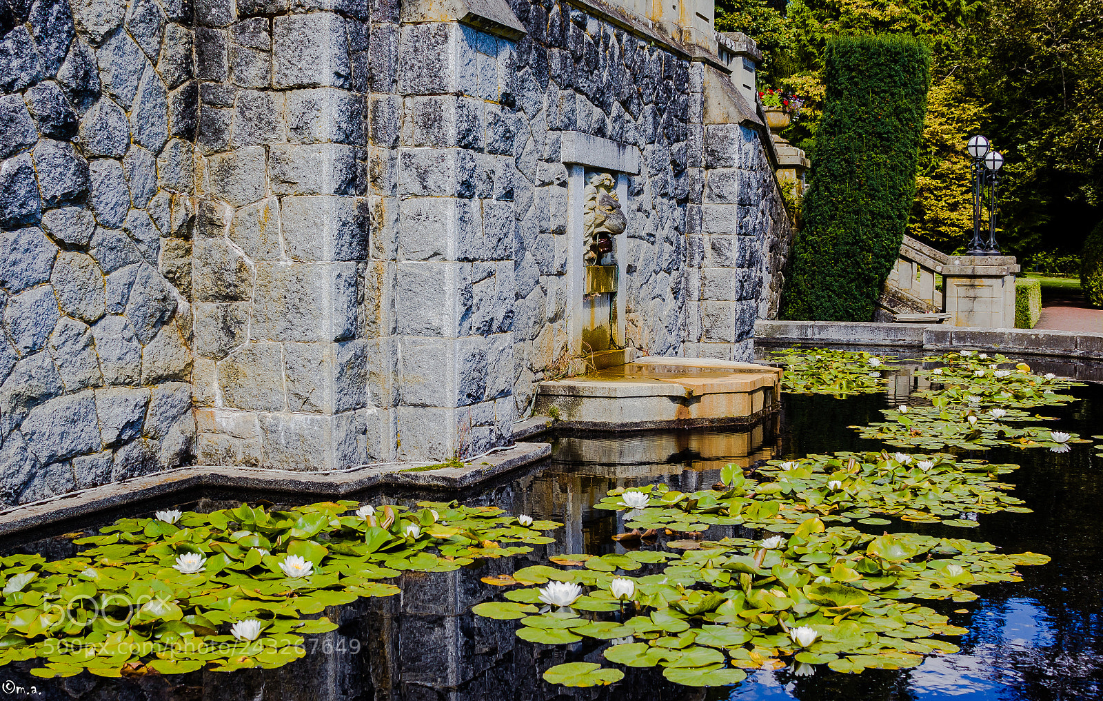 Canon EOS 60D sample photo. L.i.l.y photography