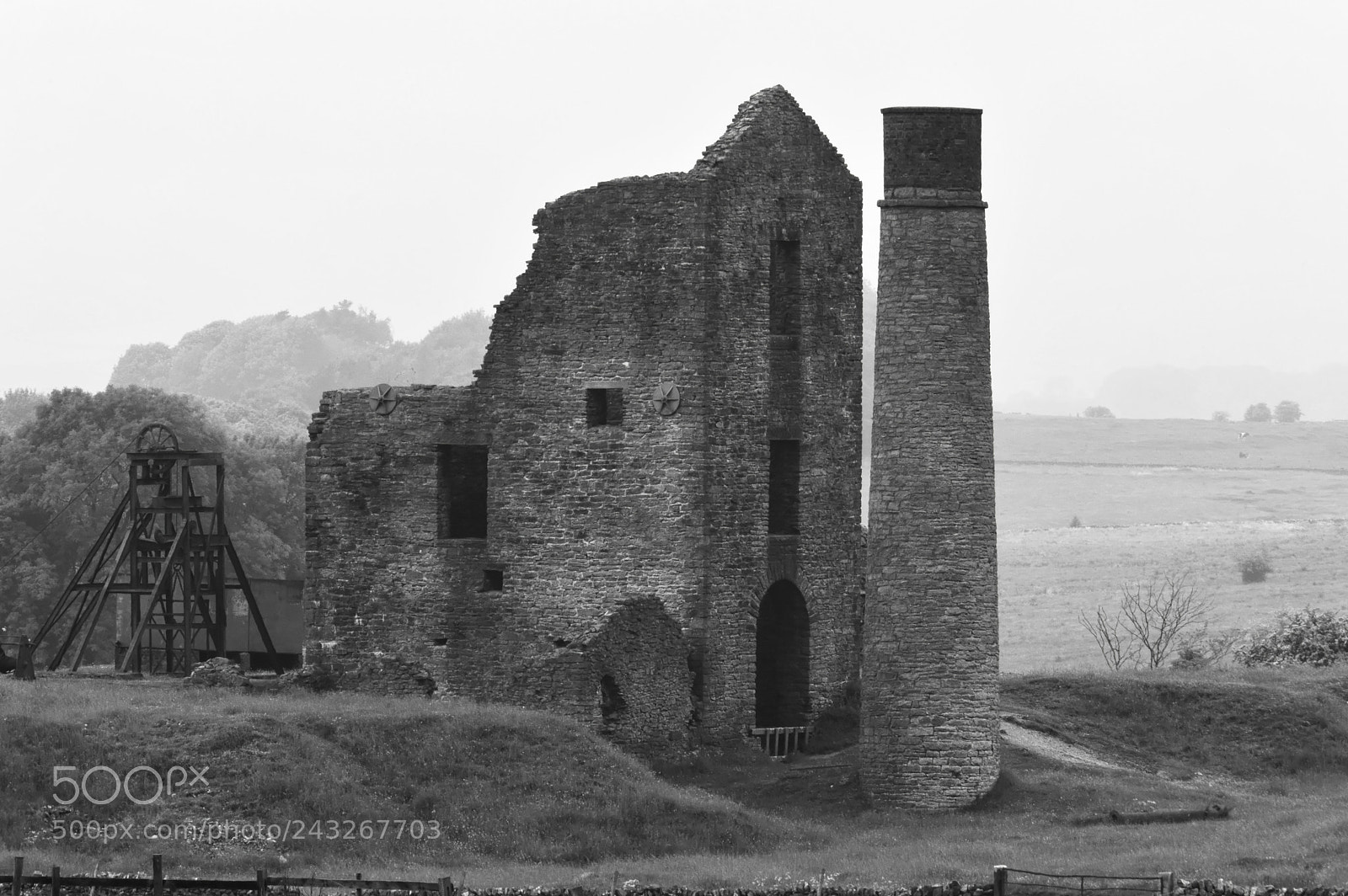 Nikon D3200 sample photo. Magpie mine photography