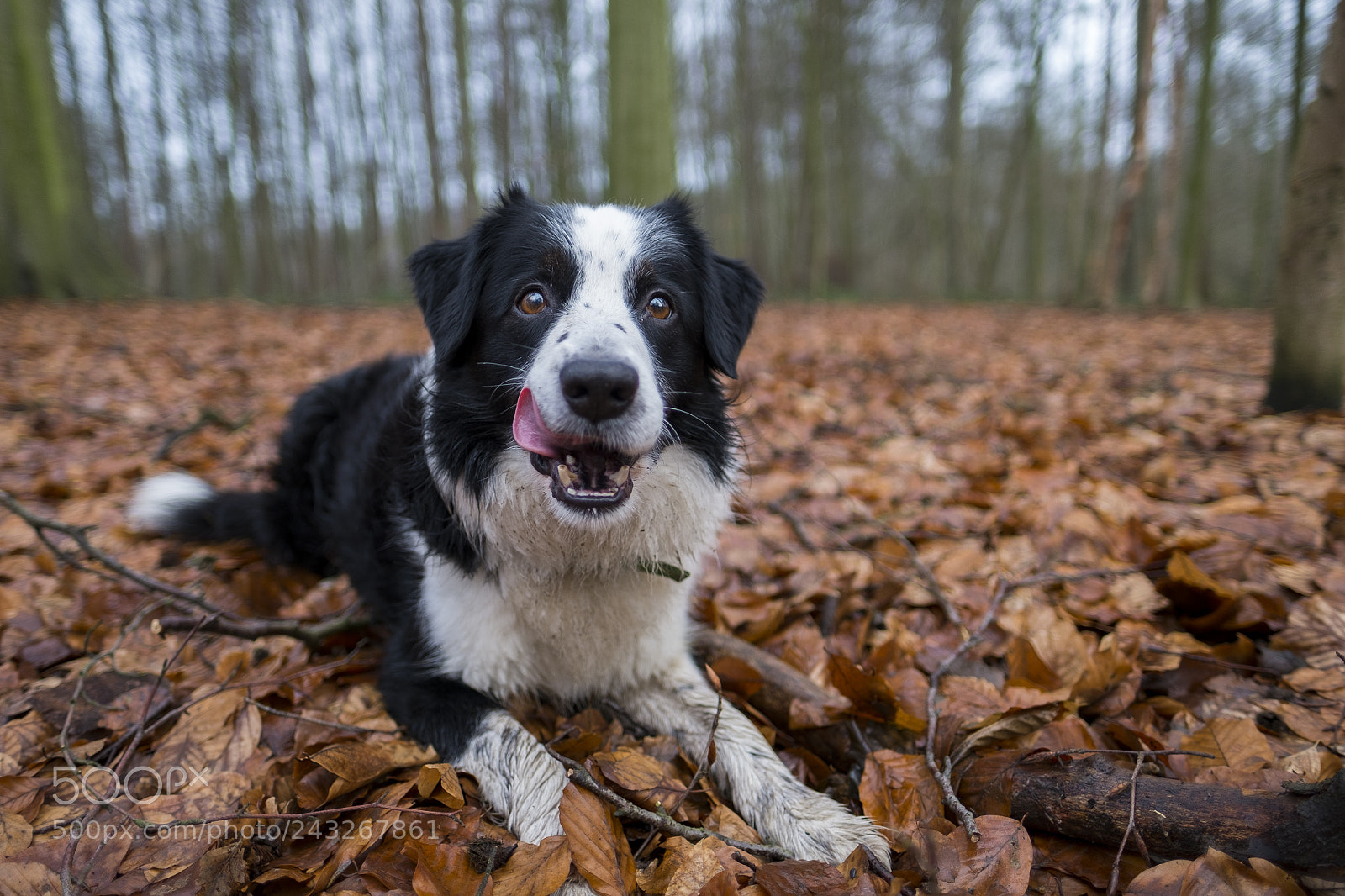 Fujifilm X-Pro1 sample photo. Lekker photography