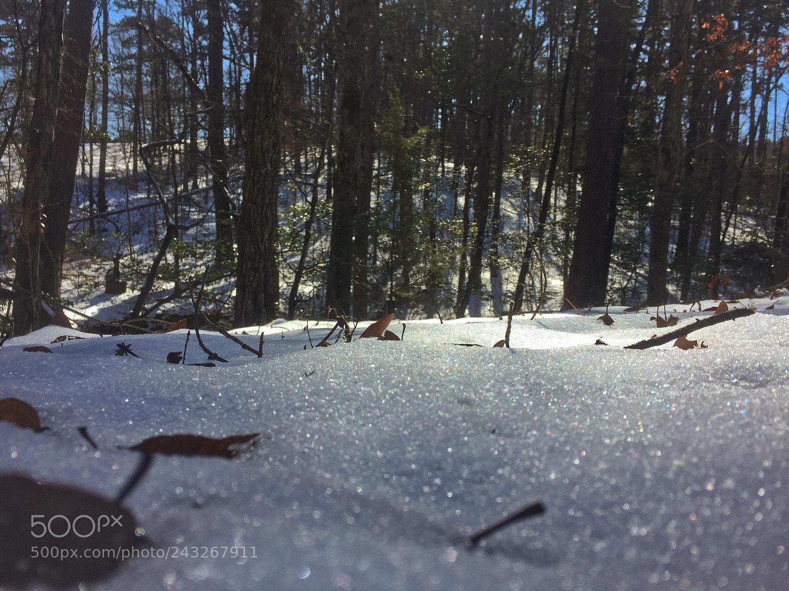 Apple iPhone 6 sample photo. ❄️.snow in texas .❄️ photography