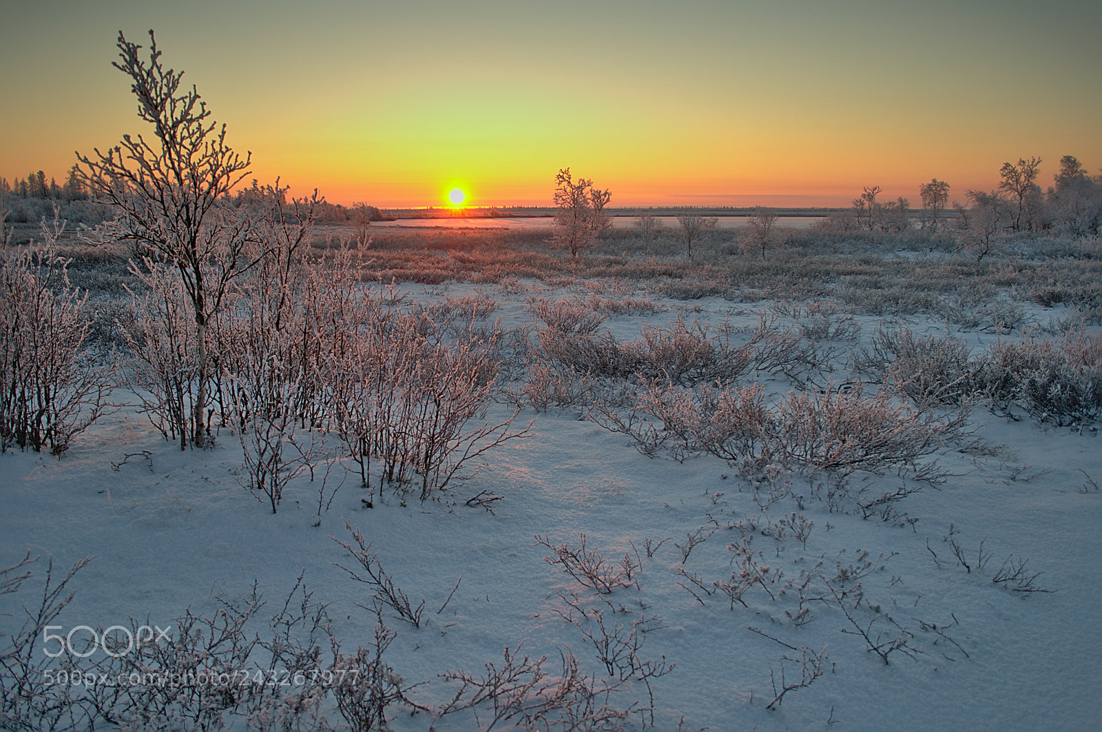 Nikon D3100 sample photo. Рассвет в тундре photography