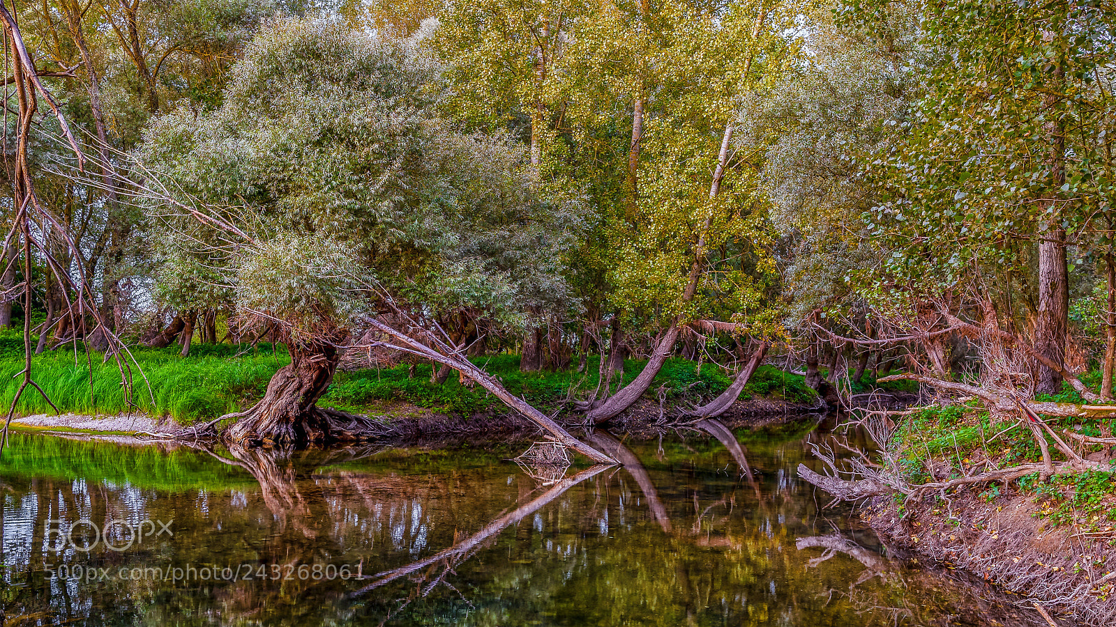Nikon D300S sample photo. Au am rhein photography