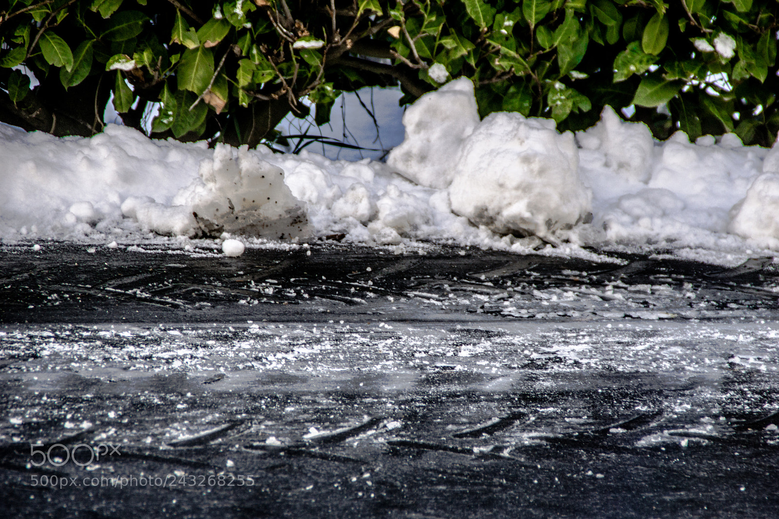 Sony a5100 sample photo. A snow in my photography