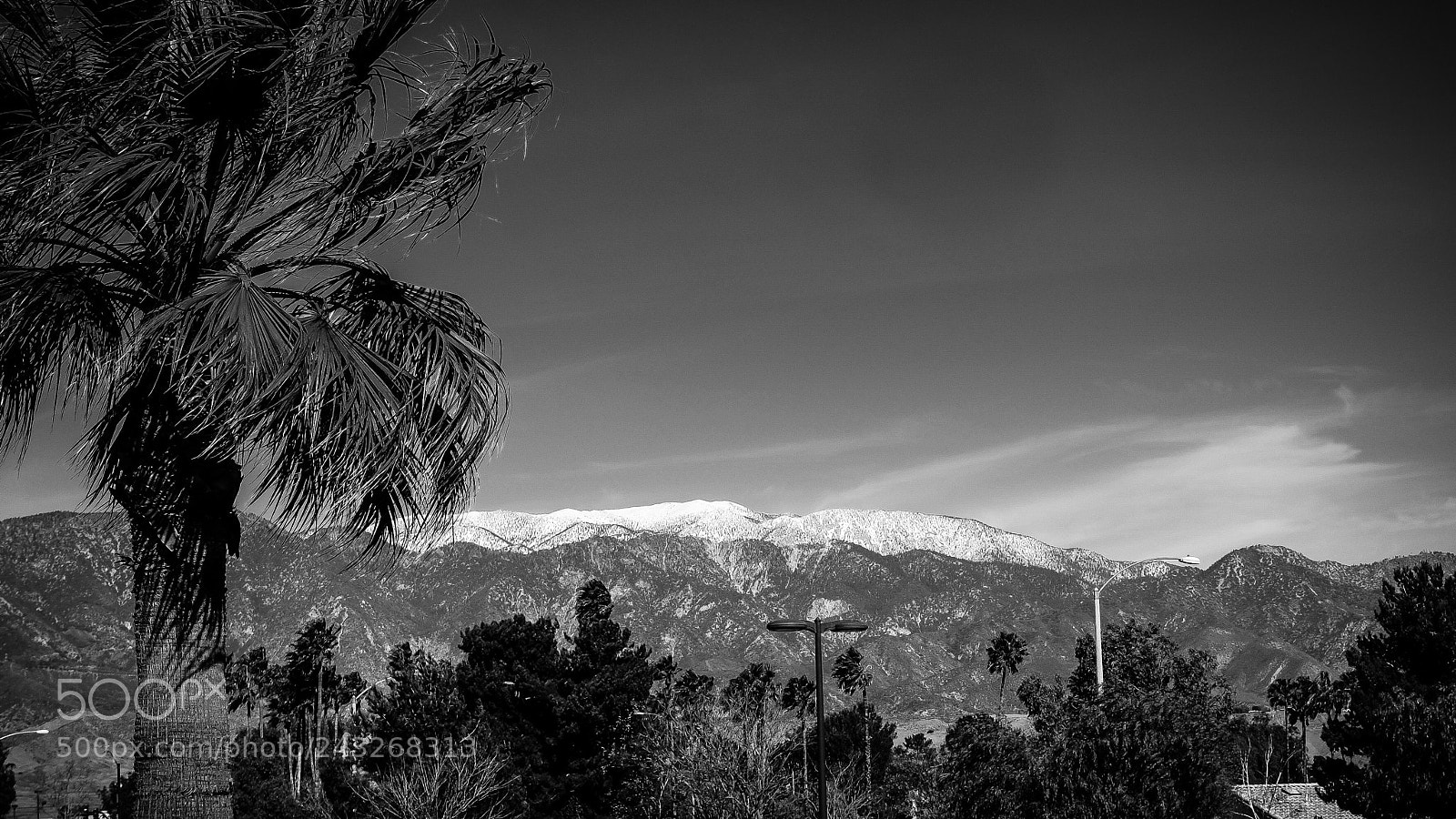 Fujifilm X100T sample photo. Palm springs, california , photography