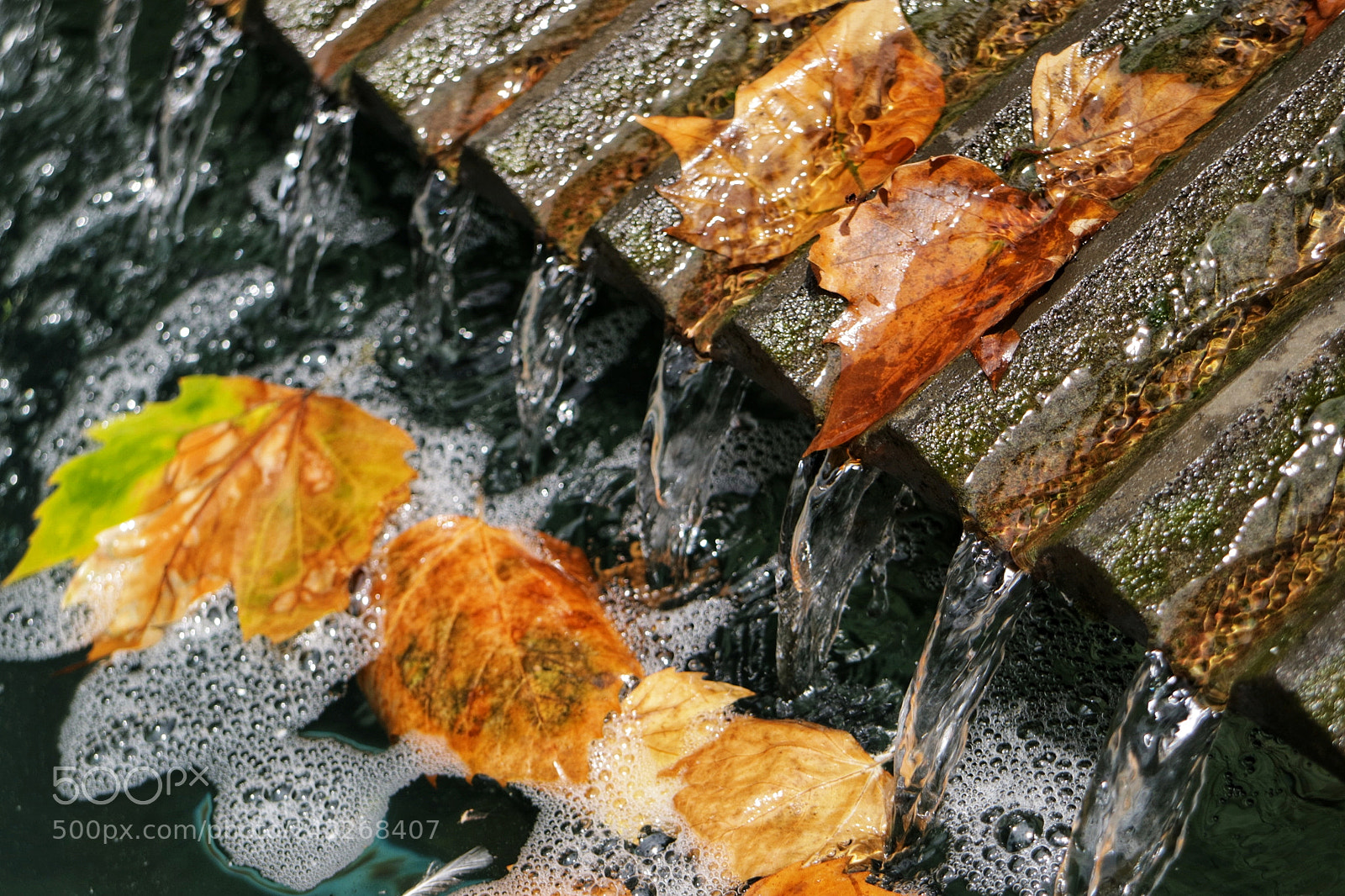 Canon EOS M3 sample photo. Untitled photography
