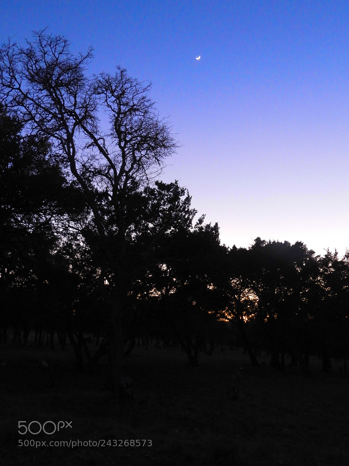Nikon Coolpix B700 sample photo. Moon at sunset photography