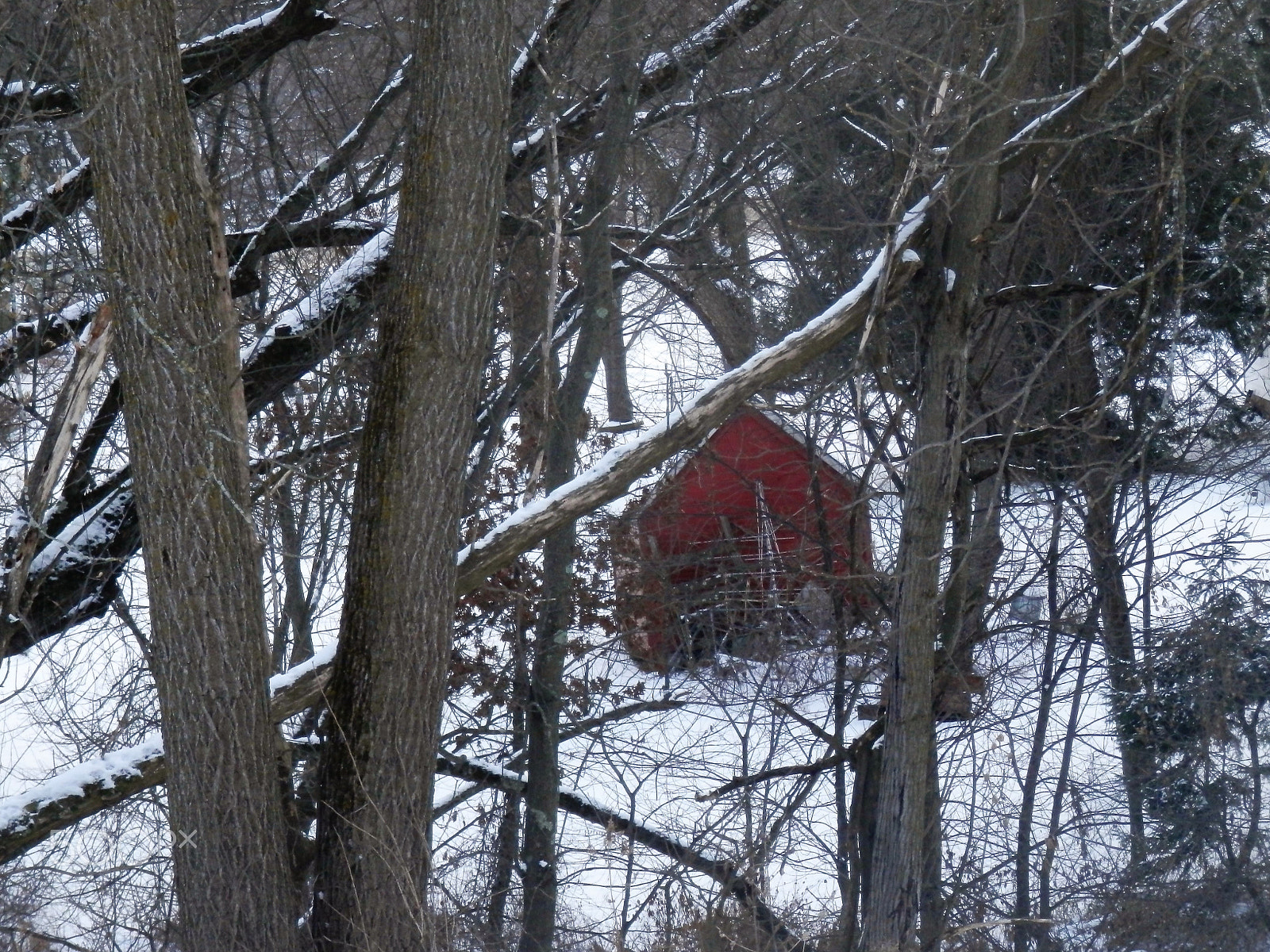 Olympus SZ-14 sample photo. Old red shed in the woods photography