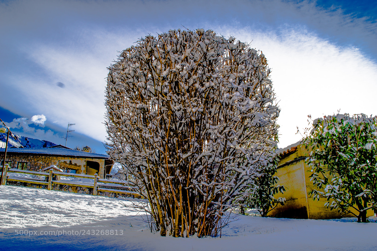 Sony a5100 sample photo. A snow in my photography