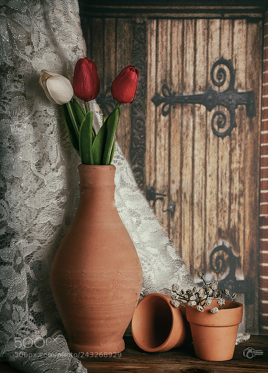 Nikon D3200 sample photo. 006.jpg photography
