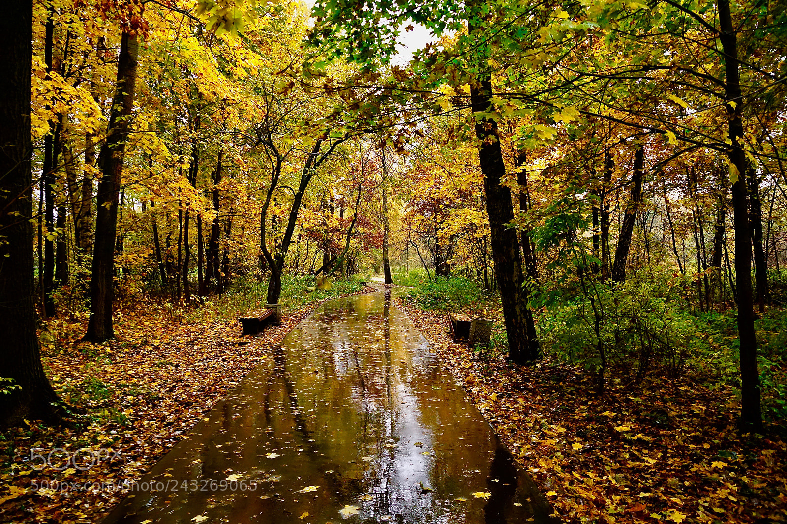 Sony ILCA-77M2 sample photo. In the autumn park photography