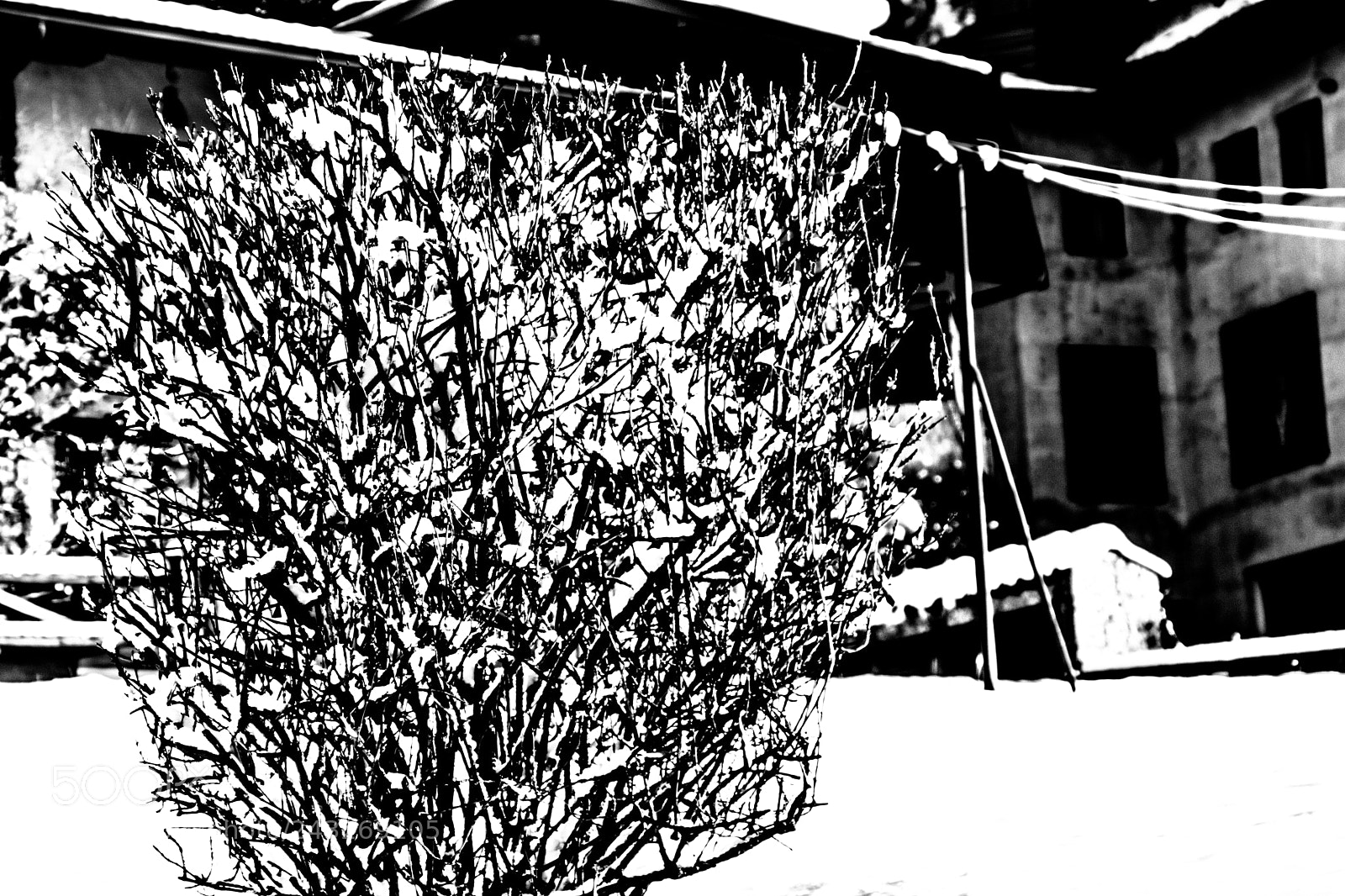 Sony a5100 sample photo. A snow in my photography