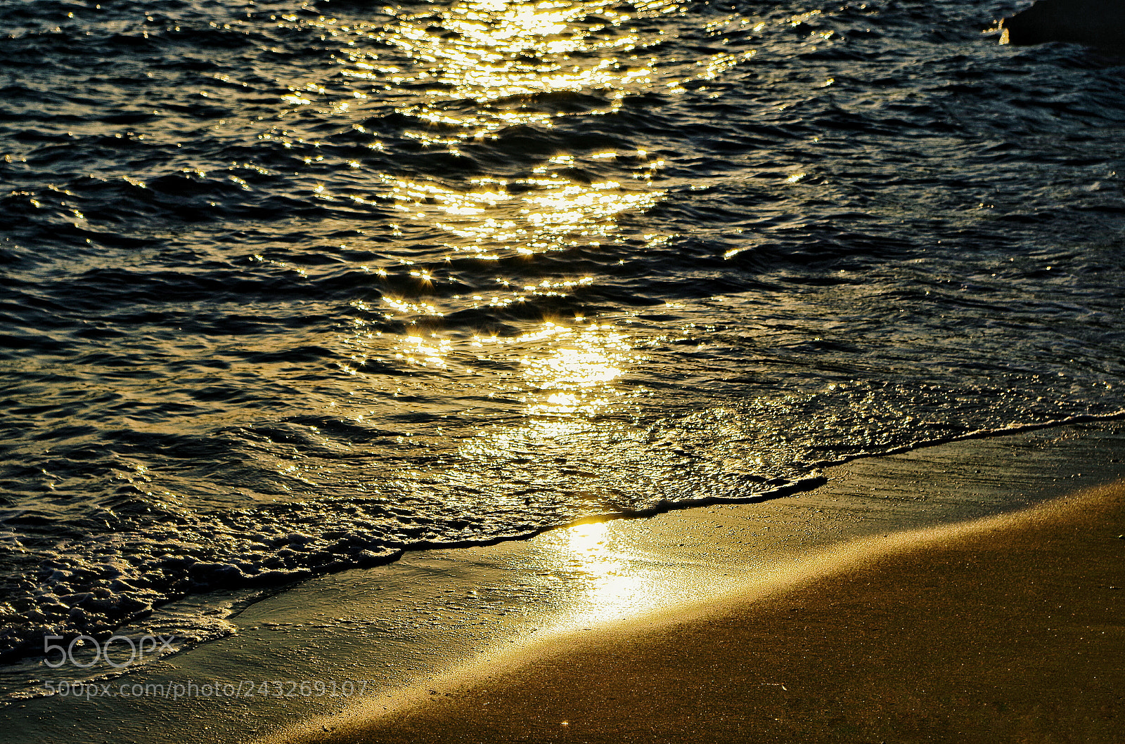 Pentax K-50 sample photo. Untitled photography