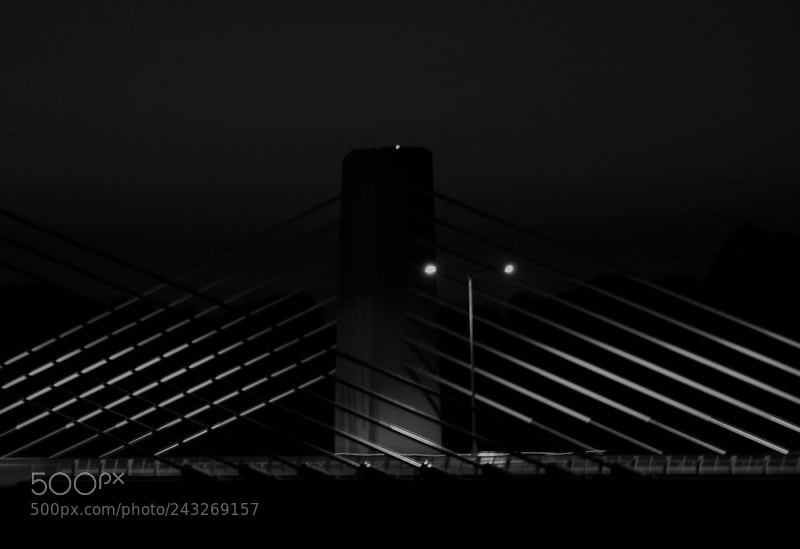 Panasonic Lumix DMC-GX8 sample photo. The bridge photography