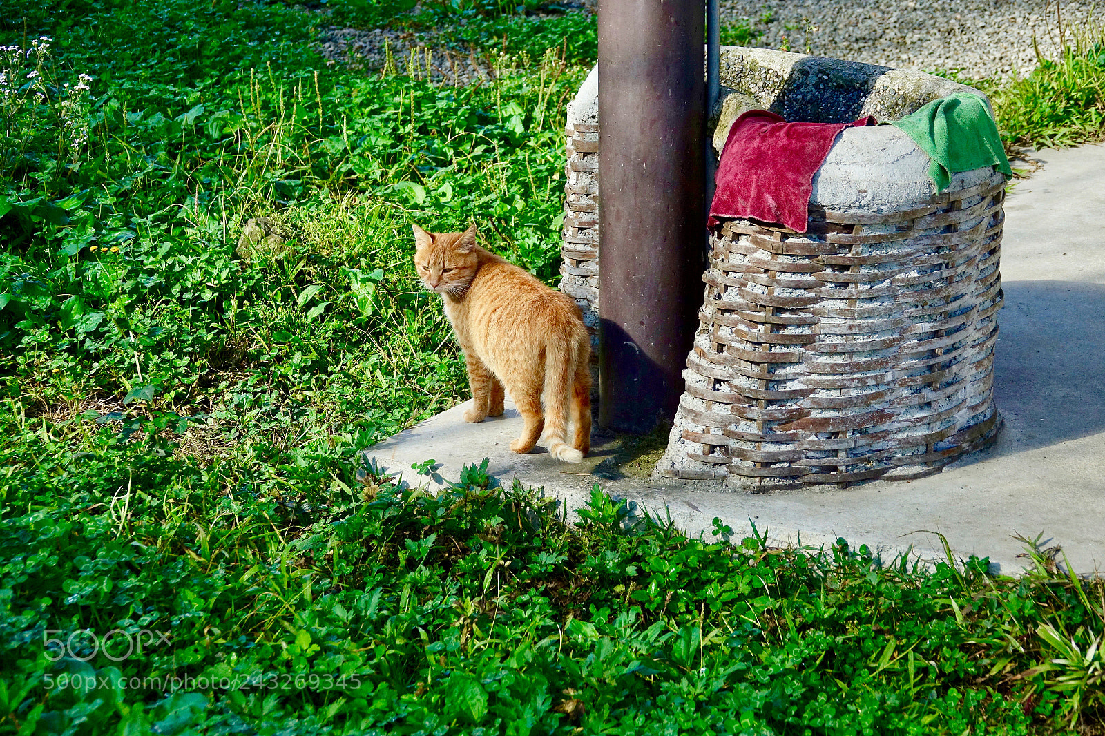 Sony Cyber-shot DSC-RX10 III sample photo. Untitled photography