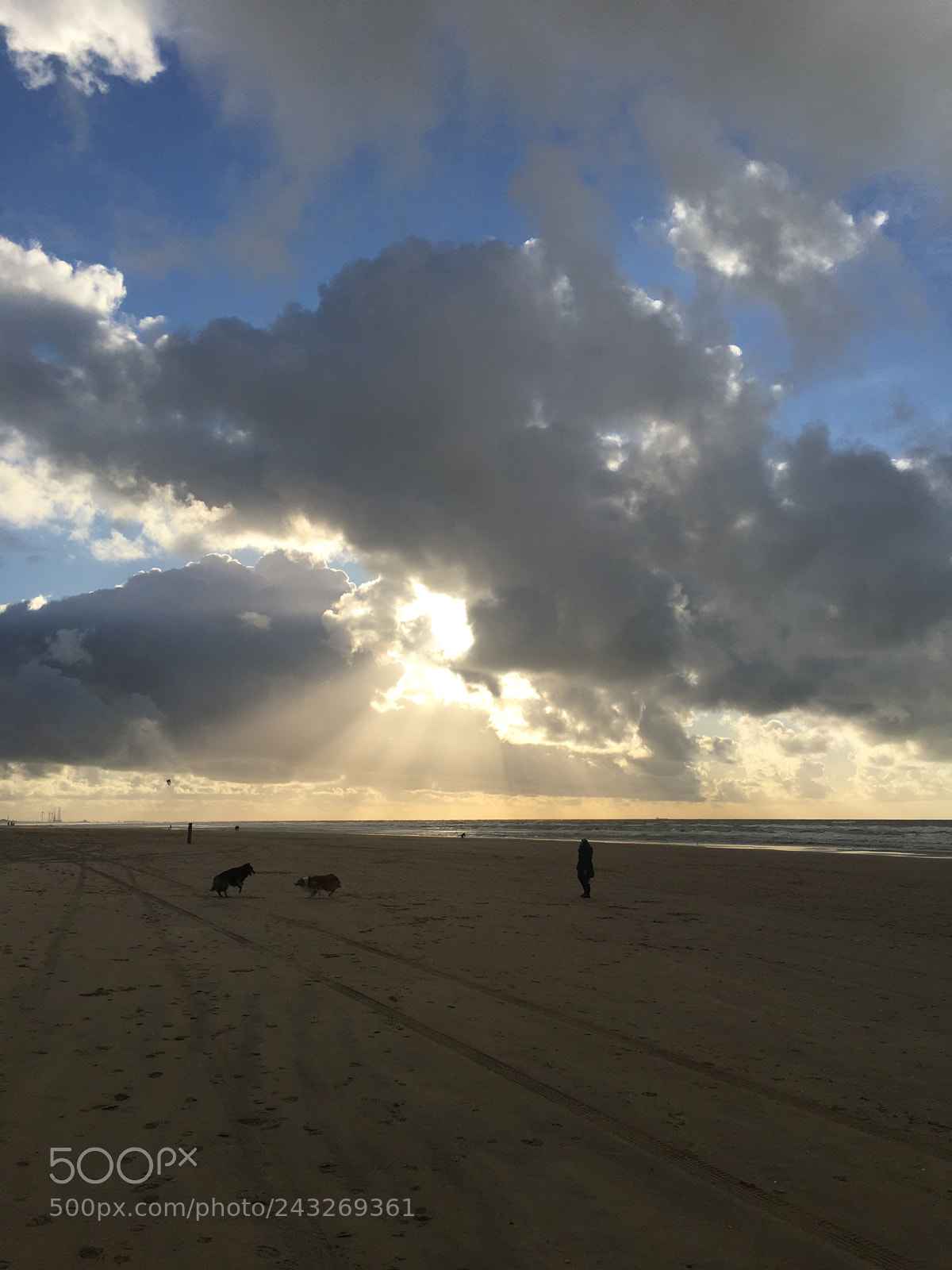 Apple iPhone 6s Plus sample photo. In the beach photography