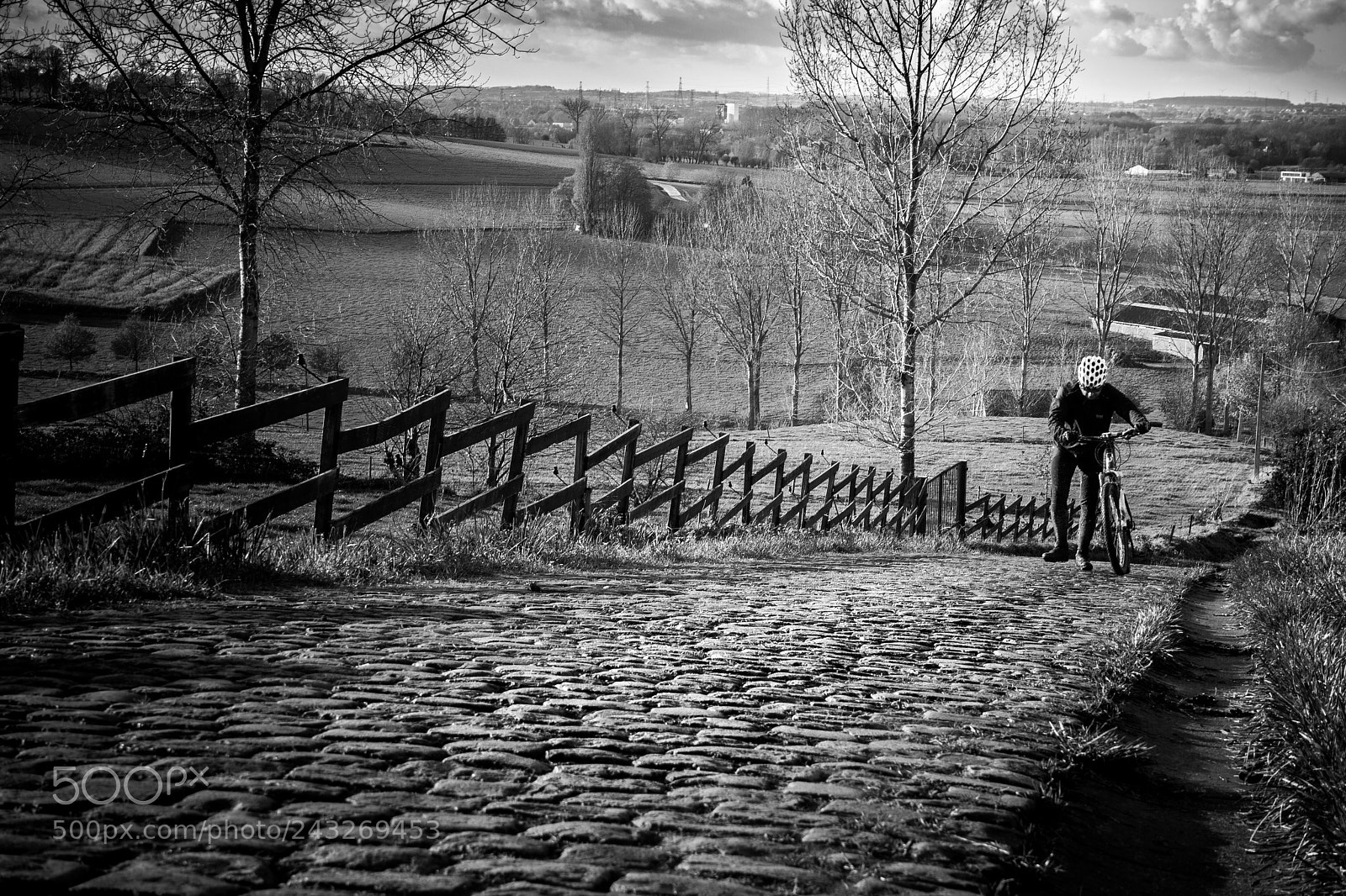 Canon EOS 1000D (EOS Digital Rebel XS / EOS Kiss F) sample photo. Paterberg photography