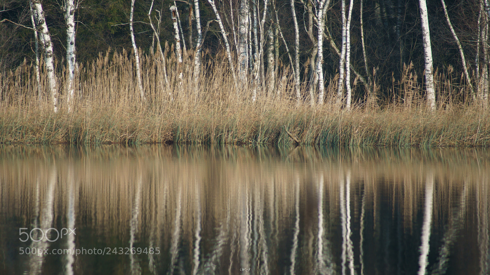 Sony ILCA-77M2 sample photo. Natural symmetry photography