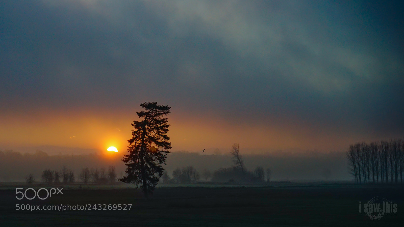 Sony a7 II sample photo. Foggy morning photography
