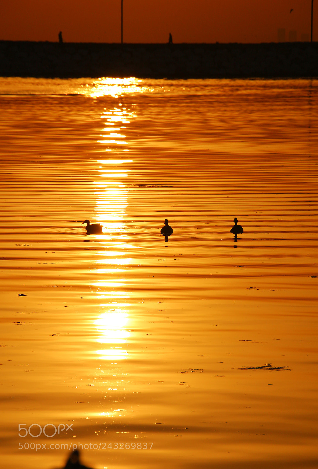 Canon EOS 100D (EOS Rebel SL1 / EOS Kiss X7) sample photo. Sunset beauty.............. photography