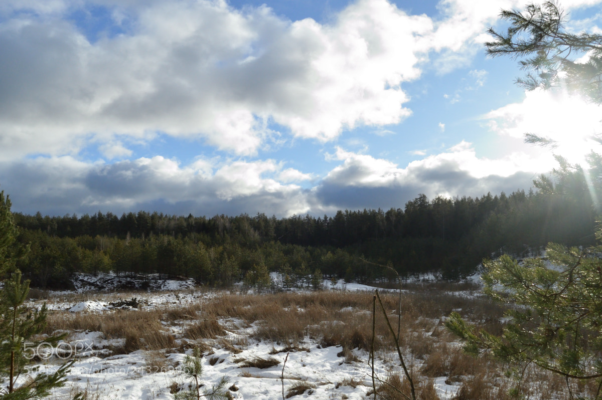 Nikon D3200 sample photo. Morning photography