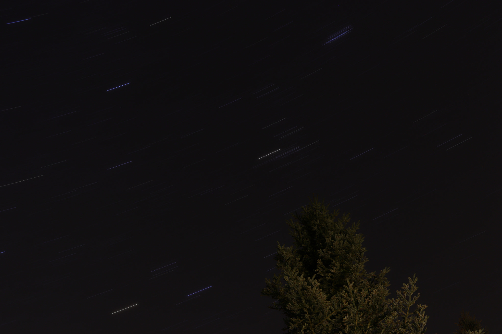 Canon EF-S 24mm F2.8 STM sample photo