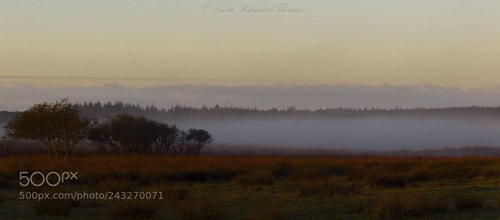 Canon EOS 1200D (EOS Rebel T5 / EOS Kiss X70 / EOS Hi) sample photo. Foggy morning photography