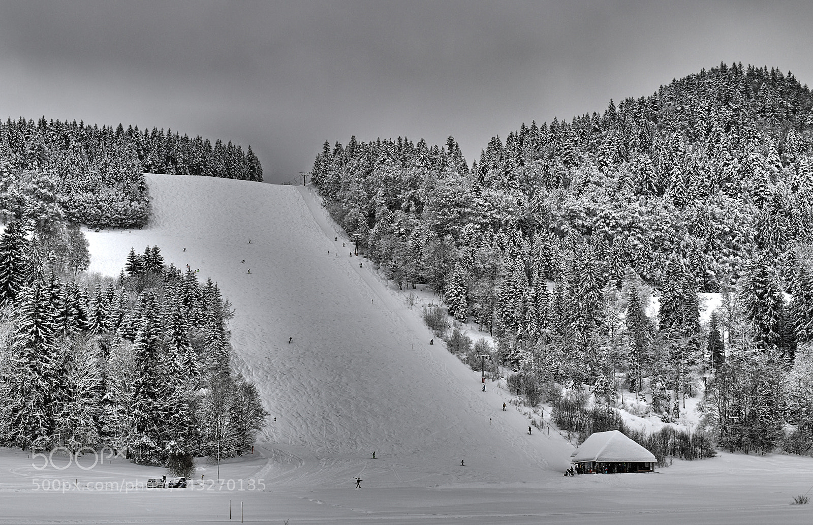 Nikon D850 sample photo. Bw photography