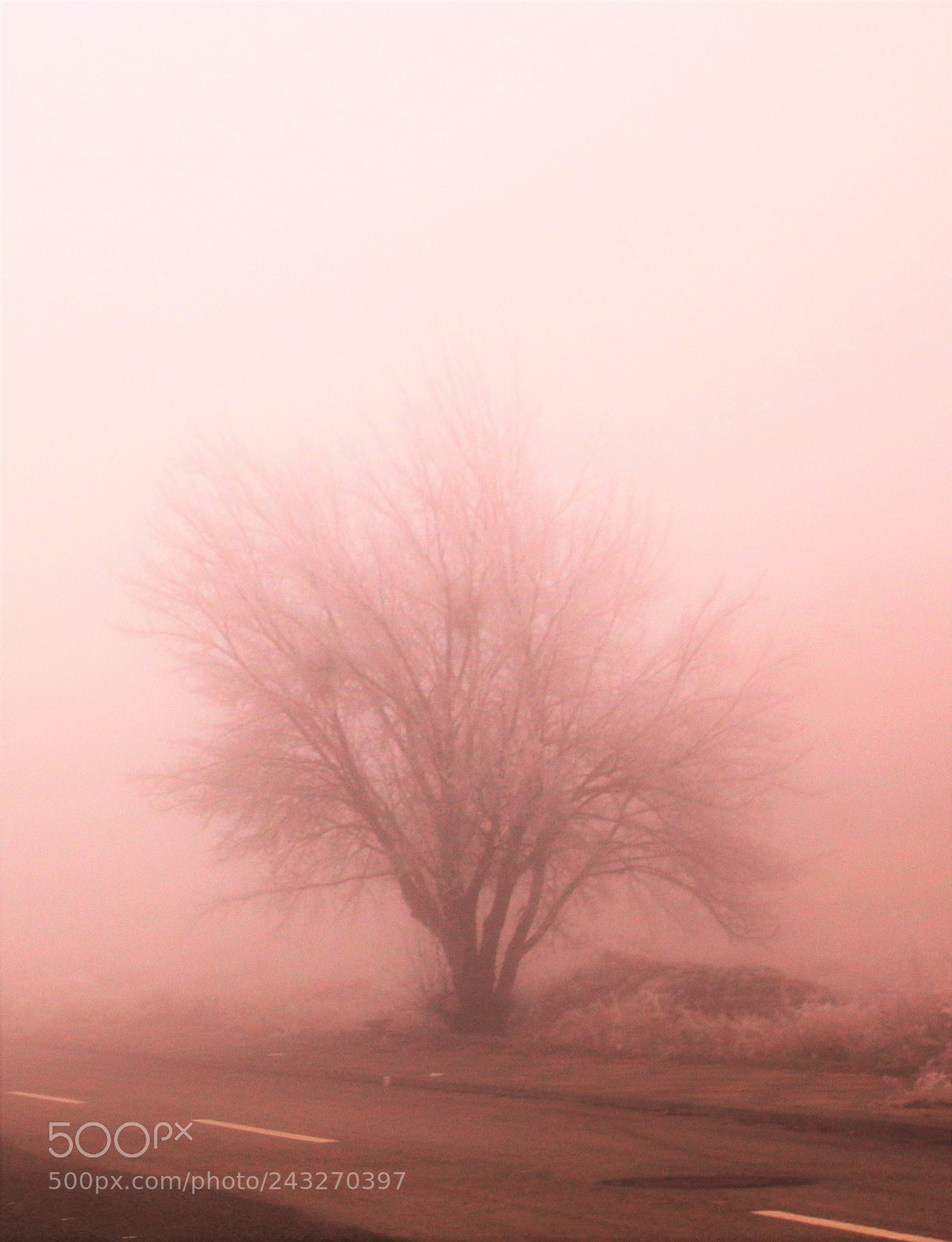 Canon EOS 100D (EOS Rebel SL1 / EOS Kiss X7) sample photo. Pastel colors () photography