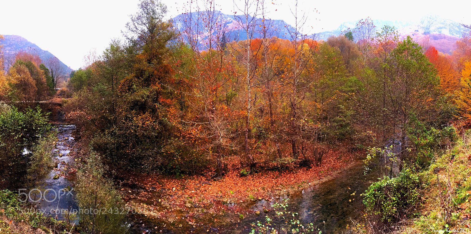 Apple iPhone 6s sample photo. The fall photography