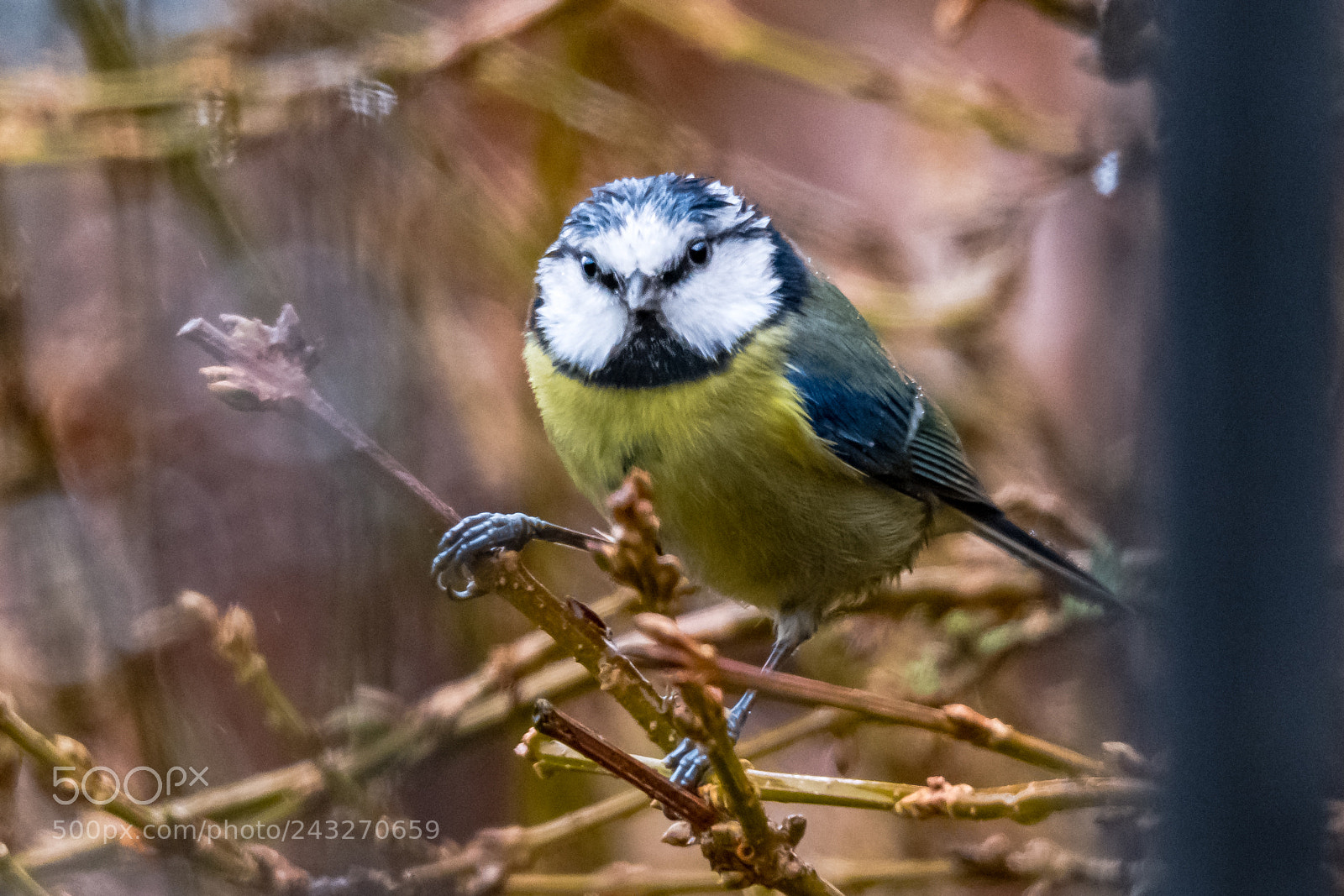 Nikon D850 sample photo. Getting wet? photography