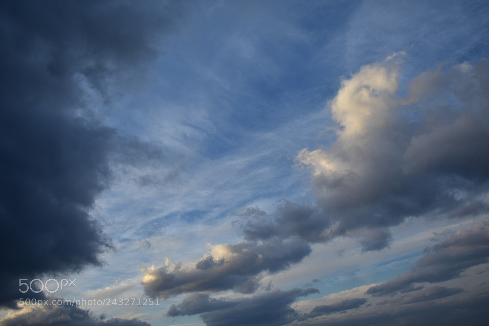 Nikon D3400 sample photo. Painted photography