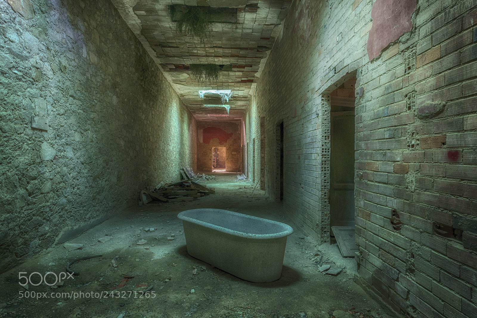Nikon D810 sample photo. Untitled photography