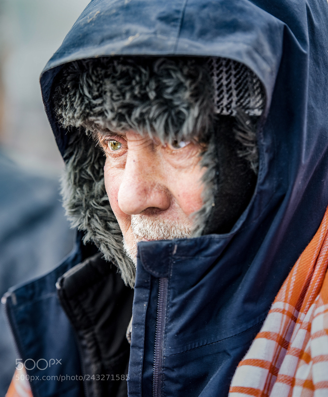 Nikon D810 sample photo. Untitled photography