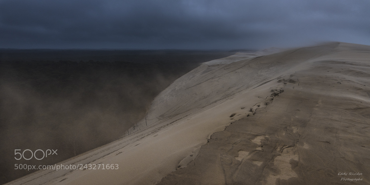 Nikon D810 sample photo. Storm on the dune photography