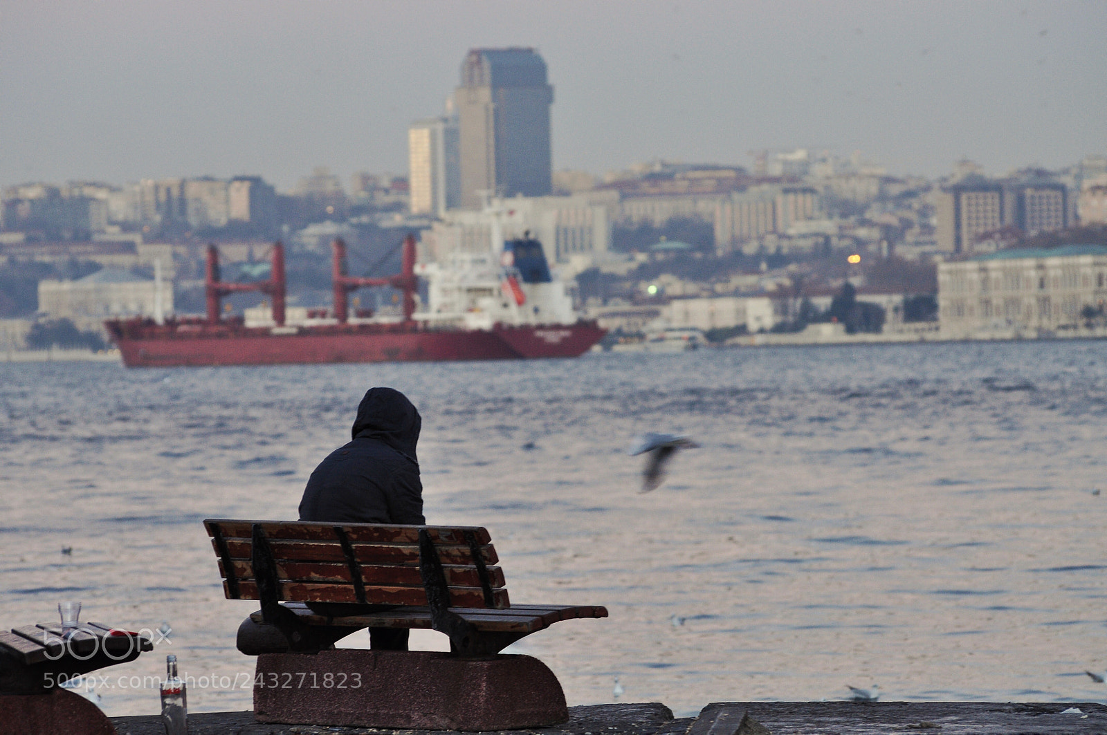 Nikon D5000 sample photo. Untitled photography