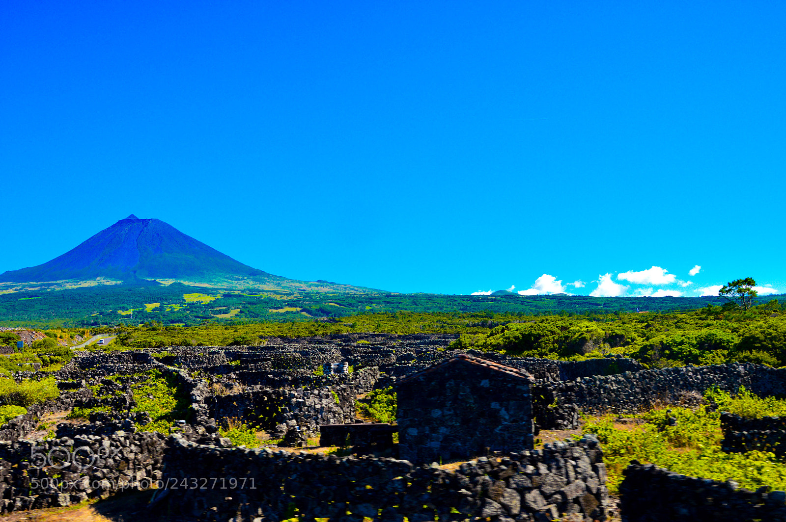 Nikon D3200 sample photo. Pico photography
