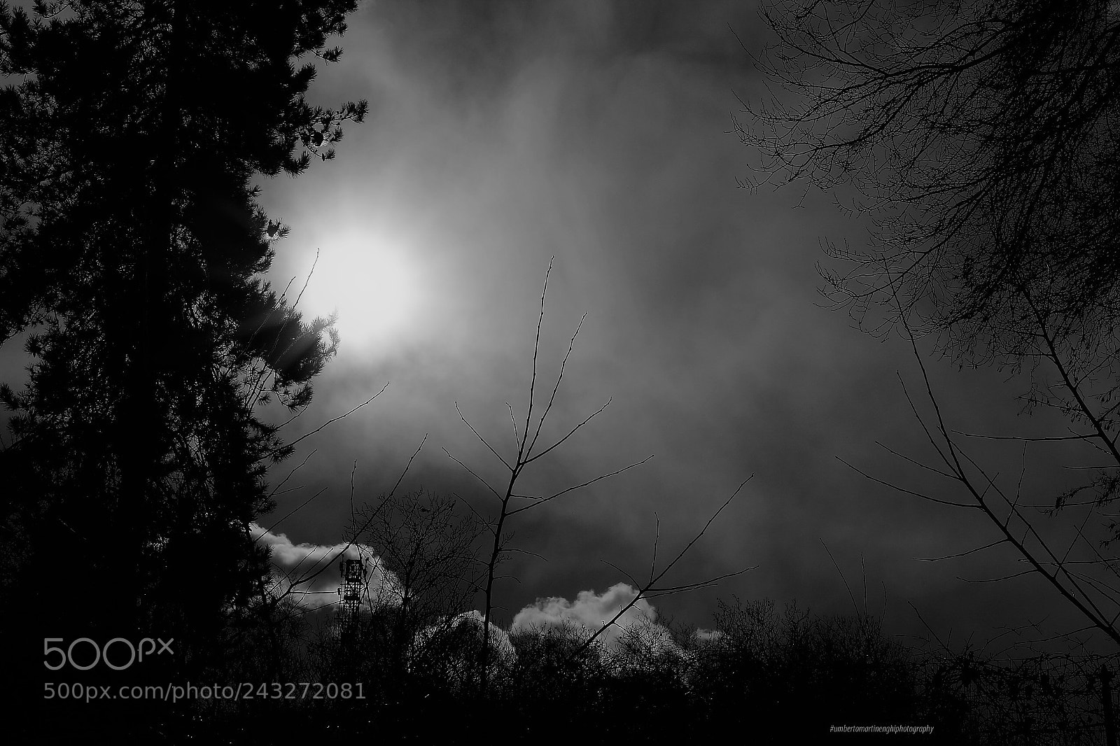 Canon EOS 7D Mark II sample photo. Eyes to the sky photography
