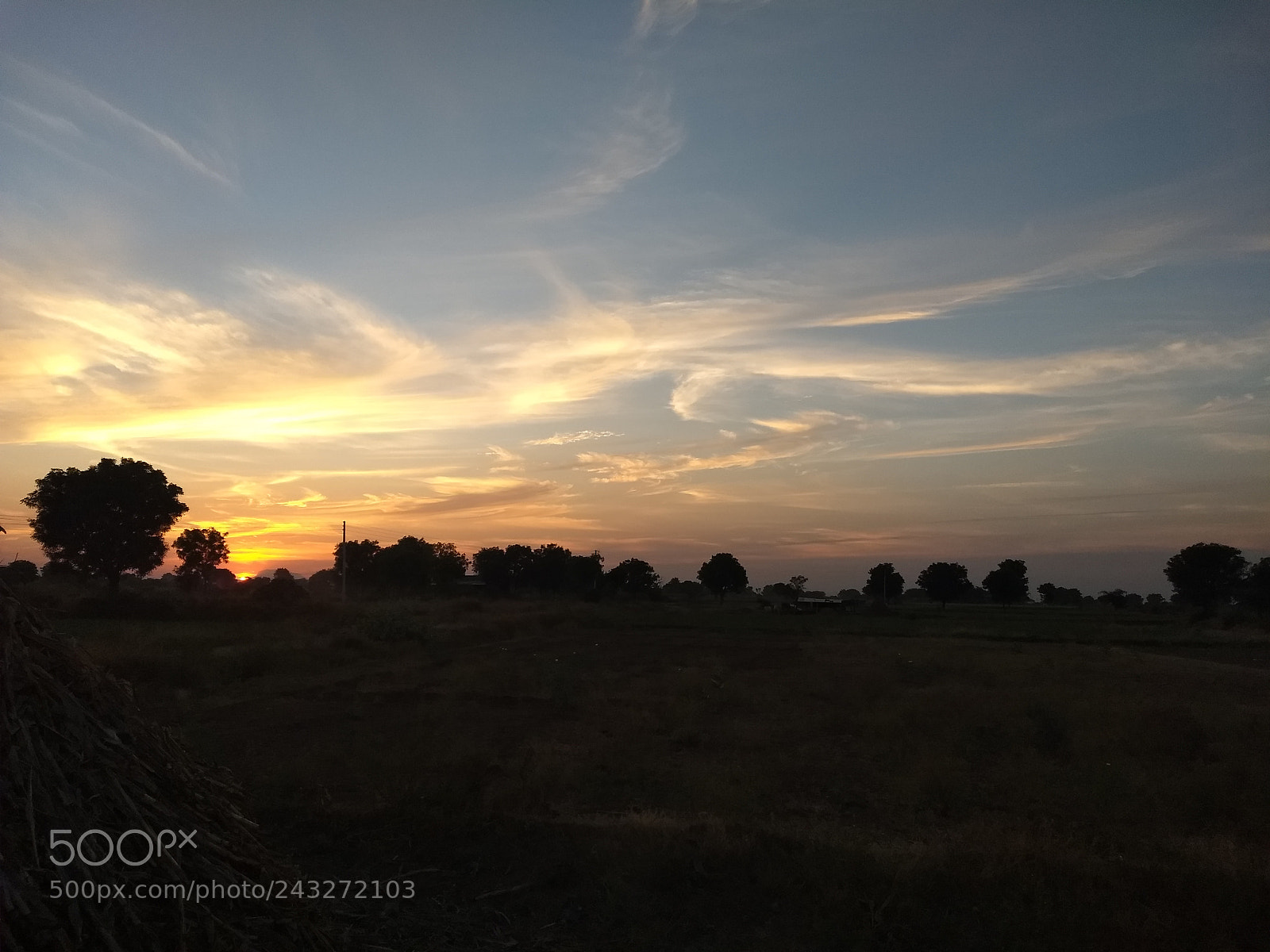 Motorola Moto G (5) Plus sample photo. #nature photography