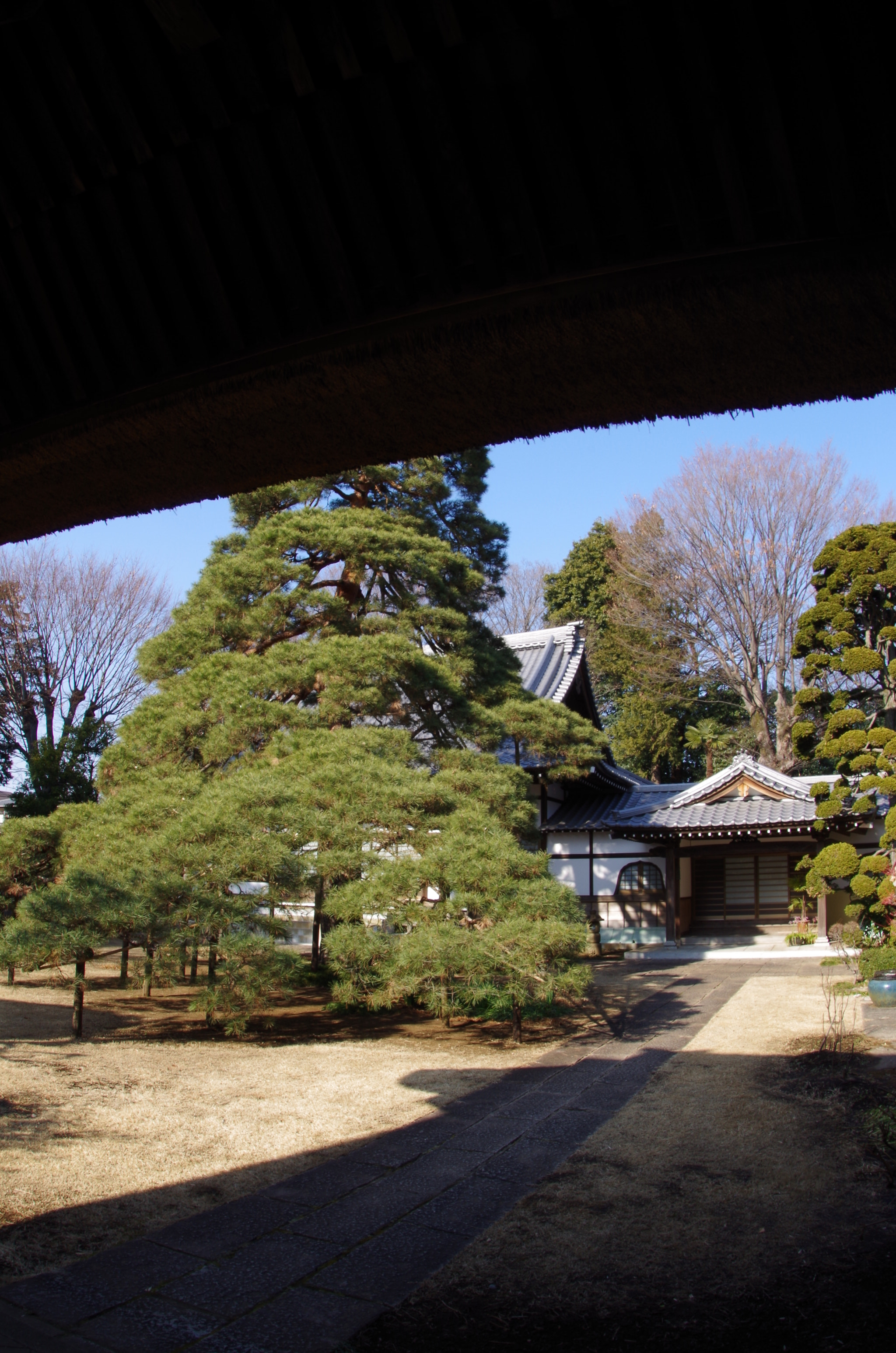 Pentax K-30 sample photo. 海岸禅寺 photography