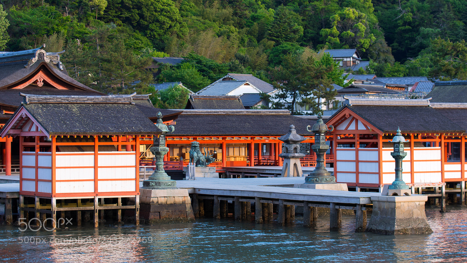 Nikon D7100 sample photo. 20140509-s71_1278-2.jpg photography