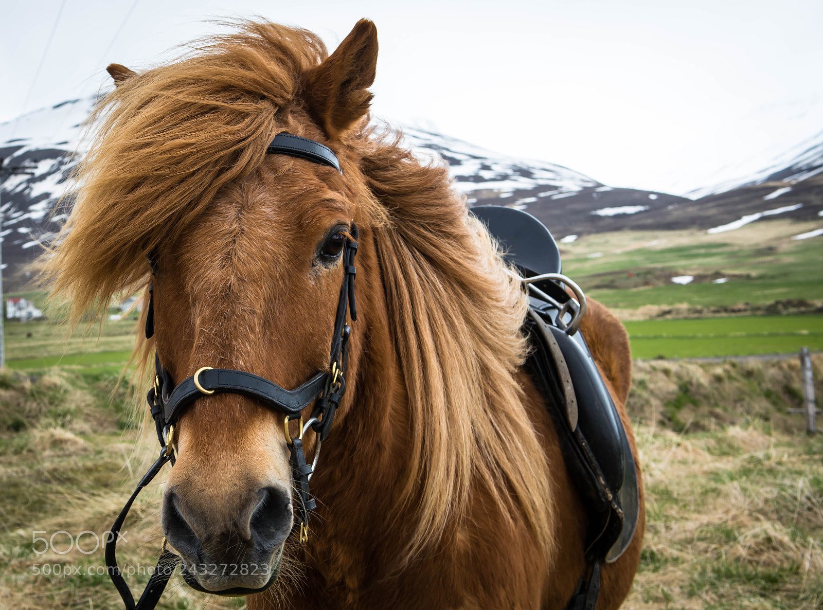 Nikon D7100 sample photo. 20150601-s71_4545-3.jpg photography