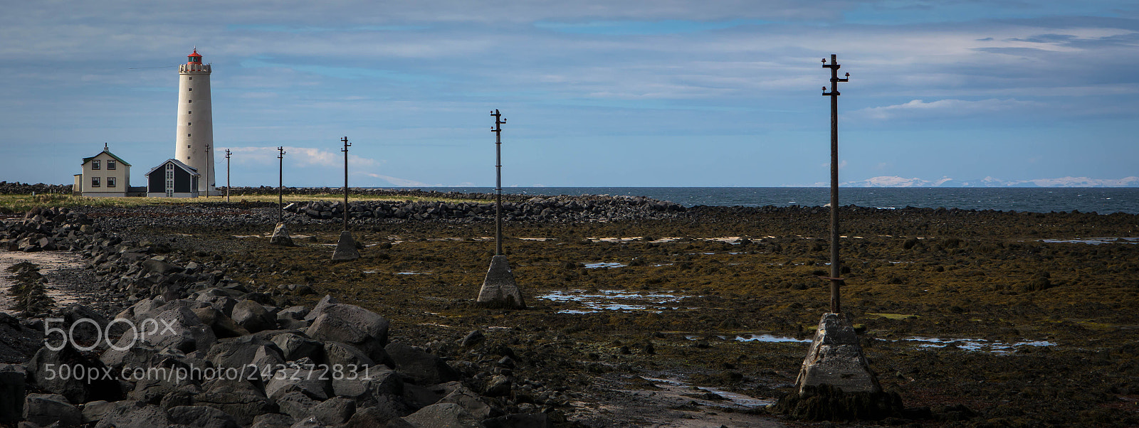 Nikon D7100 sample photo. 20150605-s71_4651-1.jpg photography