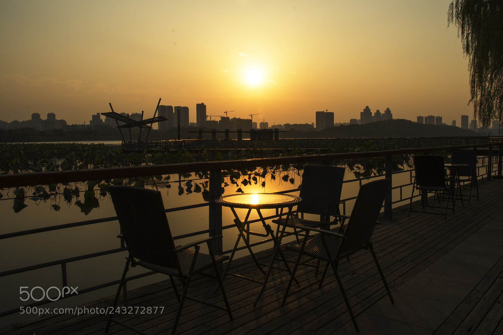 Nikon D7200 sample photo. Untitled photography