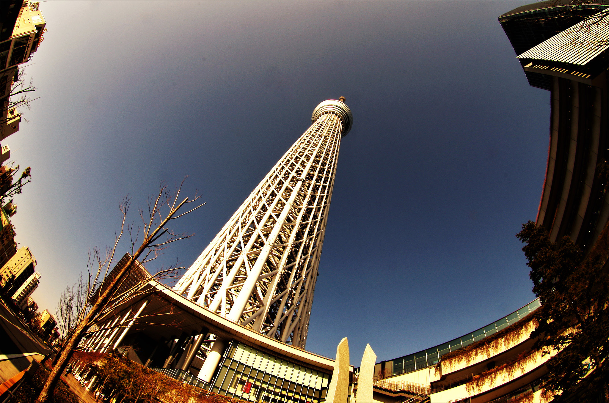 Pentax K-30 sample photo. 東京スカイツリー photography