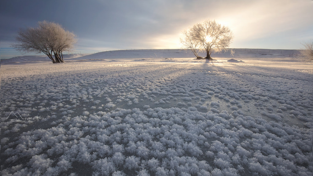 《冰花盛开的日子》, автор — 雪狼  на 500px.com