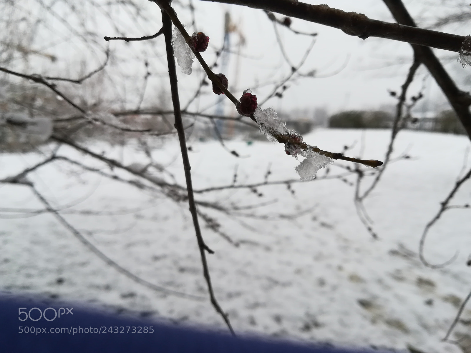 HUAWEI P10 lite sample photo. Untitled photography