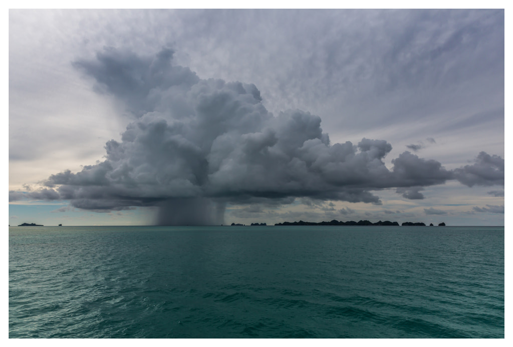 Rain, автор — JJ Z на 500px.com